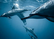 云开体育官网入口-Kaiyun——开启智慧生活新篇章